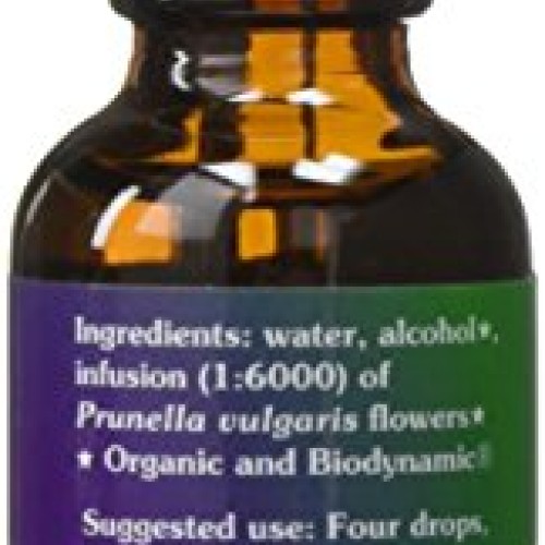 Flower Essence Services FES Quintessentials Self-Heal Supplement ...