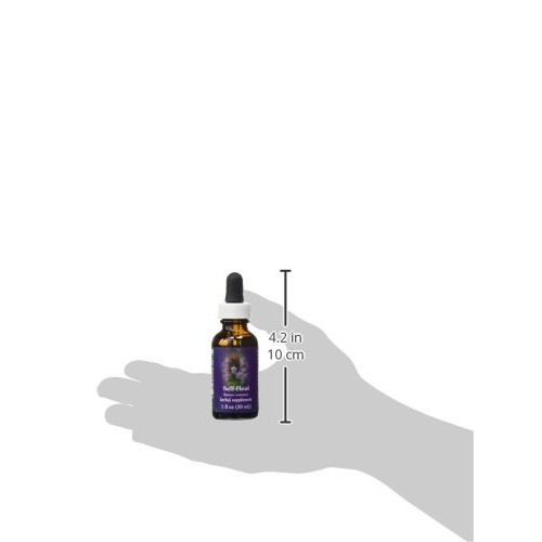 Flower Essence Services FES Quintessentials Self-Heal Supplement ...