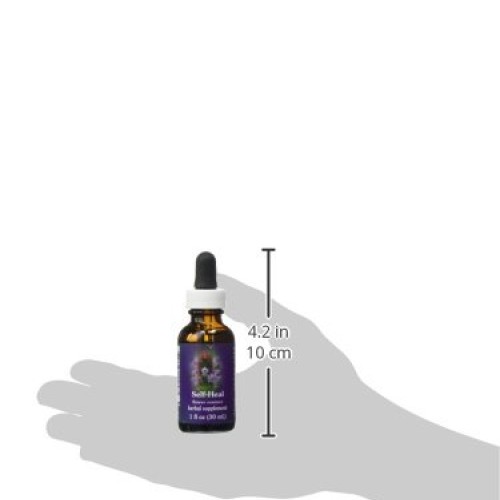 Flower Essence Services FES Quintessentials Self-Heal Supplement ...