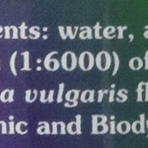 Flower Essence Services FES Quintessentials Self-Heal Supplement ...