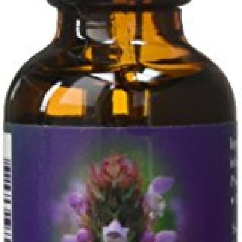Flower Essence Services FES Quintessentials Self-Heal Supplement ...