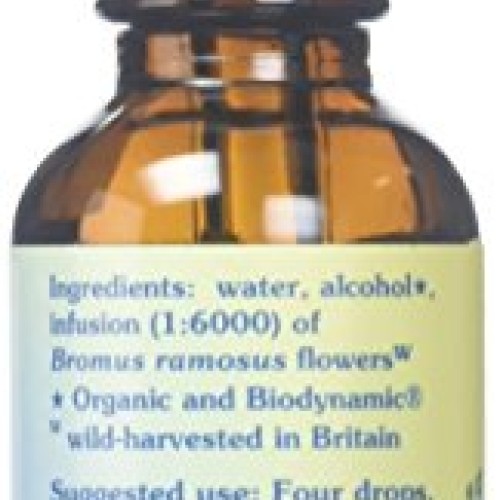 Flower Essence Services Healing Herbs Organic Wild Oat Dropper, 1...