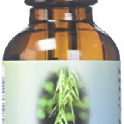 Flower Essence Services Healing Herbs Organic Wild Oat Dropper, 1...