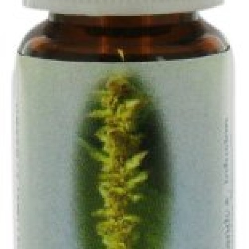 Flower Essence Services Hornbeam Dropper Herbal Supplements, 0.25...