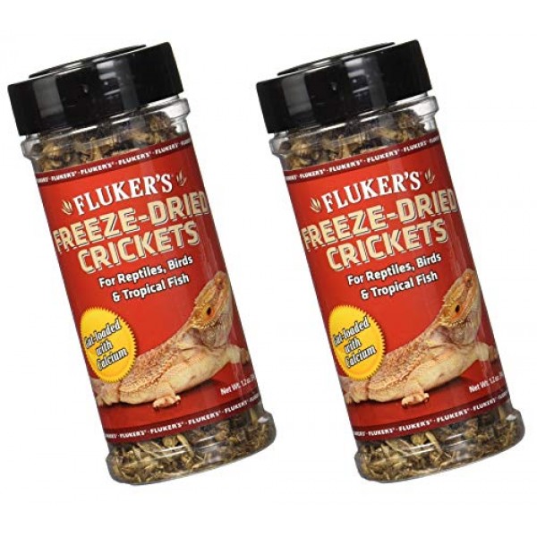 2 Pack Flukers 1.2-Ounce Freeze Dried Crickets