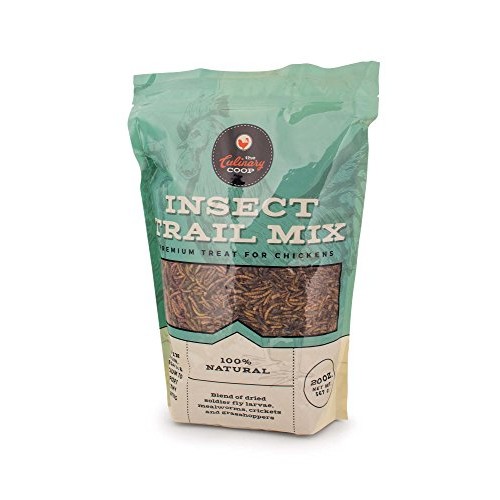 Flukers Culinary Coop Chicken Treats - Dried Insect Trail Mix