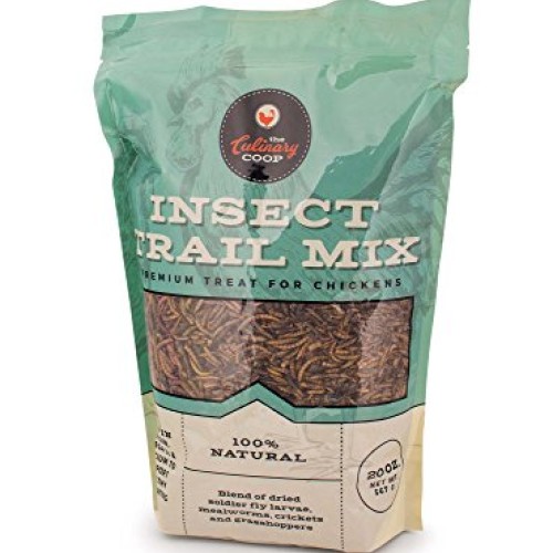 Flukers Culinary Coop Chicken Treats - Dried Insect Trail Mix