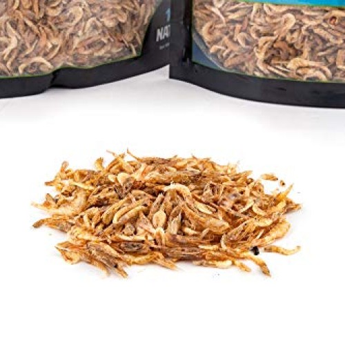 Flukers Grub Bag Turtle Treat - River Shrimp
