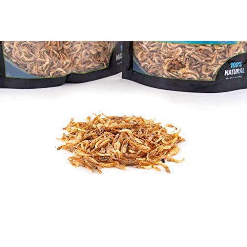 Flukers Grub Bag Turtle Treat - River Shrimp