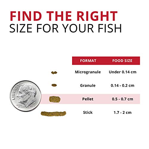 Fluval Bug Bites Cichlid Fish Food, Pellets for Medium to Large S...