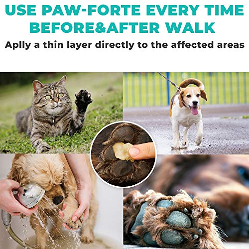 Forticept PAW-Forte Medicated Antimicrobial Paw and Nose Protecti...