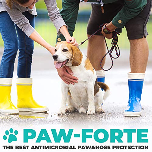 Forticept PAW-Forte Medicated Antimicrobial Paw and Nose Protecti...