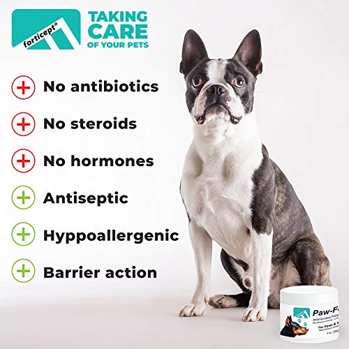 Forticept PAW-Forte Medicated Antimicrobial Paw and Nose Protecti...