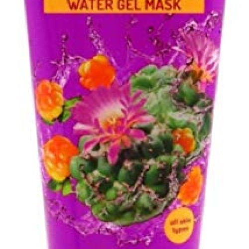 FREEMAN Cactus Cloudberry Water Gel Mask, 6 Ounce 46107-GLB-OS