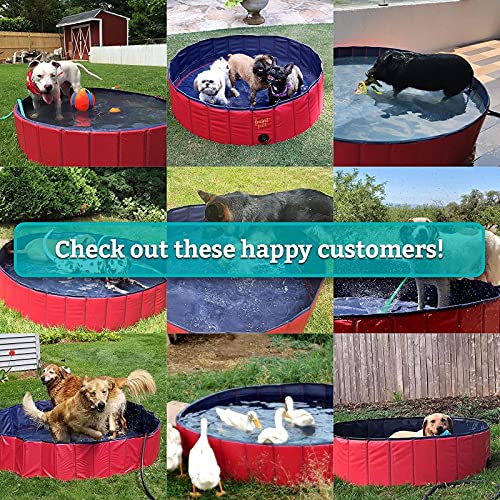 FrontPet Foldable Dog Pool - Collapsible Pet Pool, Bathing Tub an...