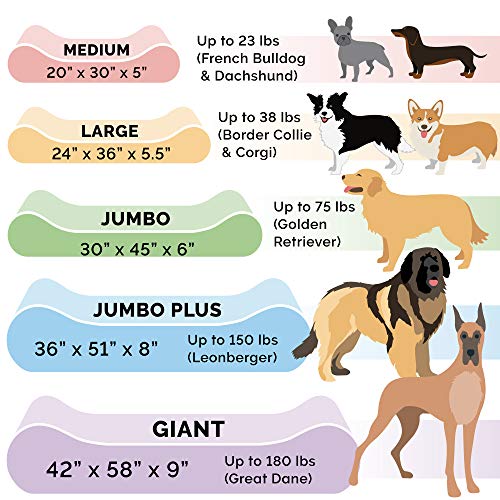 Furhaven Memory Foam Pet Bed for Dogs and Cats - Luxe Lounger Mic...
