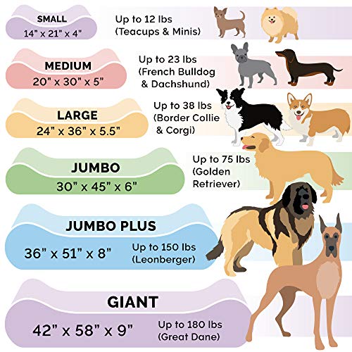 Furhaven Orthopedic Pet Bed for Dogs and Cats - Luxe Lounger Mink...