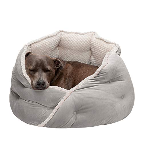 Furhaven Pet Bed for Cats and Small Dogs - Minky Plush and Velvet...