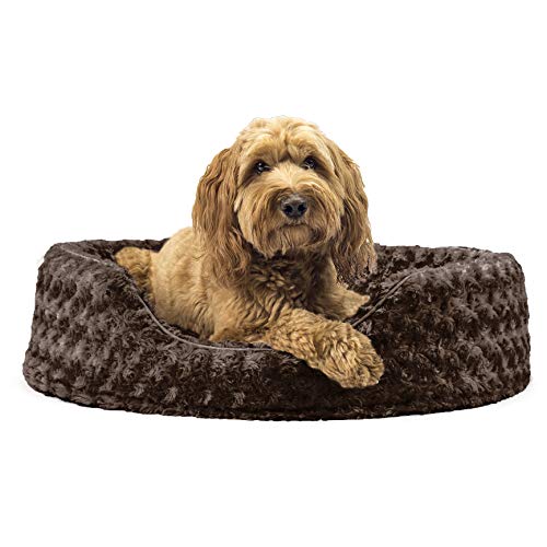Furhaven Pet Bed for Dogs and Cats - Ultra Plush Curly Fur Oval C...