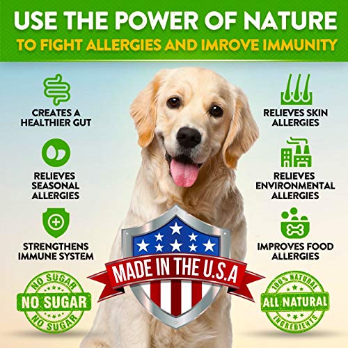 FurroLandia Allergy Relief Immune Supplement for Dogs - Seasonal ...