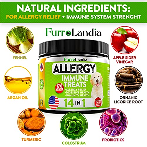 FurroLandia Allergy Relief Immune Supplement for Dogs - Seasonal ...