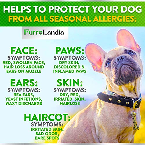 FurroLandia Allergy Relief Immune Supplement for Dogs - Seasonal ...