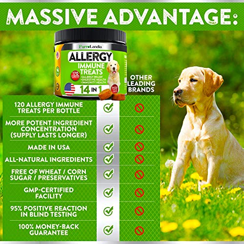 FurroLandia Allergy Relief Immune Supplement for Dogs - Seasonal ...