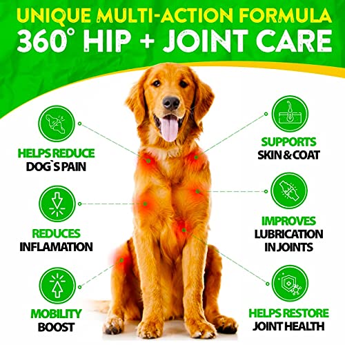 FurroLandia Hemp Hip & Joint Supplement for Dogs - 170 Soft Chews...