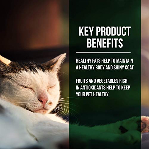 Fussie Cat Market Fresh Salmon & Chicken Meal Formula Grain-Free ...