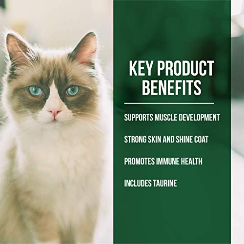 Fussie Cat Market Fresh Salmon & Chicken Meal Formula Grain-Free ...