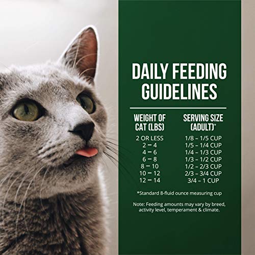 Fussie Cat Market Fresh Salmon & Chicken Meal Formula Grain-Free ...