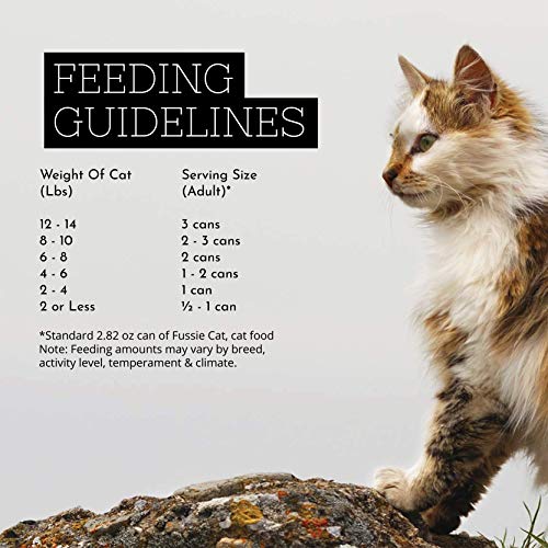 Fussie Cat Premium Tuna with Chicken in Aspic Grain-Free Wet Cat ...