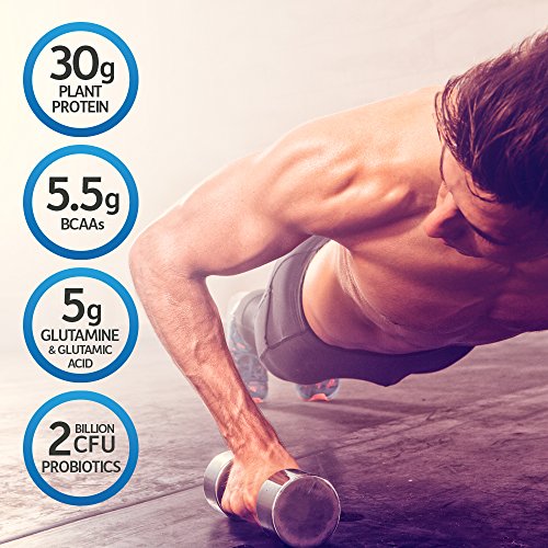 Garden of Life Organic Vegan Sport Protein Powder, Chocolate, Pro...