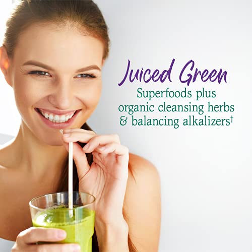 Garden of Life Raw Organic Perfect Food Alkalizer & Detoxifier Ju...