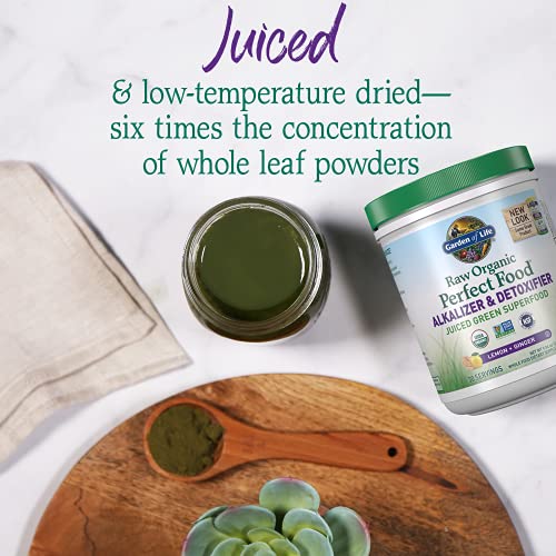 Garden of Life Raw Organic Perfect Food Alkalizer & Detoxifier Ju...