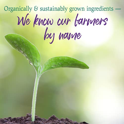Garden of Life Raw Organic Perfect Food Alkalizer & Detoxifier Ju...