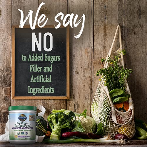 Garden of Life Raw Organic Perfect Food Alkalizer & Detoxifier Ju...