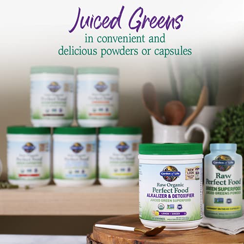 Garden of Life Raw Organic Perfect Food Alkalizer & Detoxifier Ju...