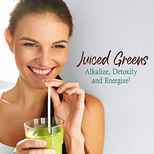 Garden of Life Raw Organic Perfect Green Superfood Juiced Powder,...
