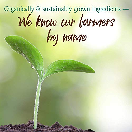 Garden of Life Raw Organic Perfect Green Superfood Juiced Powder,...