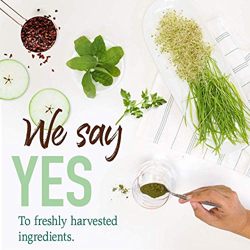 Garden of Life Raw Organic Perfect Green Superfood Juiced Powder,...