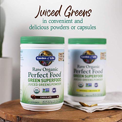 Garden of Life Raw Organic Perfect Green Superfood Juiced Powder,...