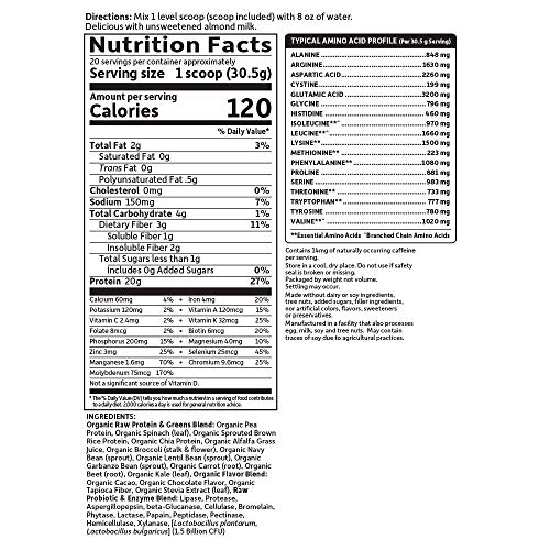 Garden of Life Raw Organic Protein & Greens Chocolate - 20 Servin...