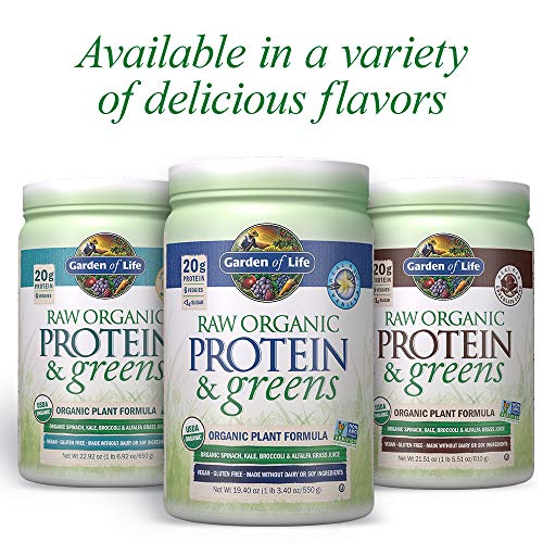 Garden of Life Raw Organic Protein & Greens Chocolate - 20 Servin...