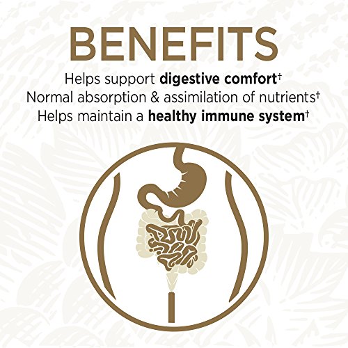 Garden of Life Whole Food Probiotic Supplement - Primal Defense U...