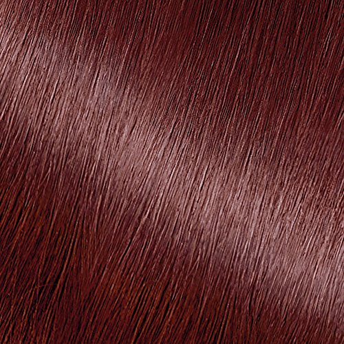 Garnier Nutrisse Nourishing Hair Color Creme, 452 Dark Reddish Br...
