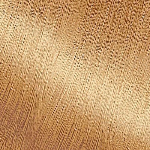 Garnier Nutrisse Nourishing Hair Color Creme, 83 Medium Golden Bl...
