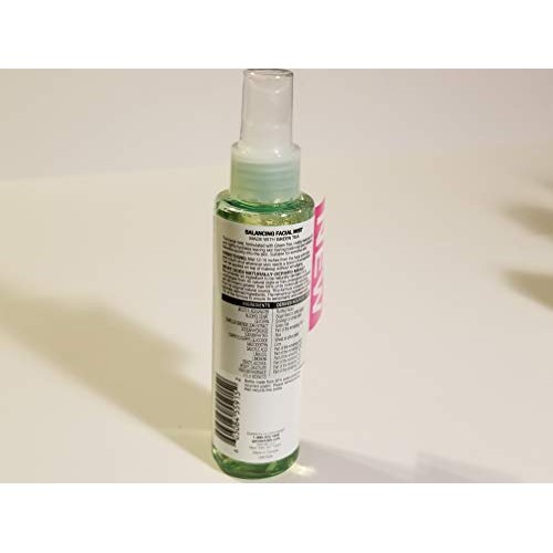 Garnier Skinactive Balancing Facial Mist With Green Tea, 4.4 Flui...