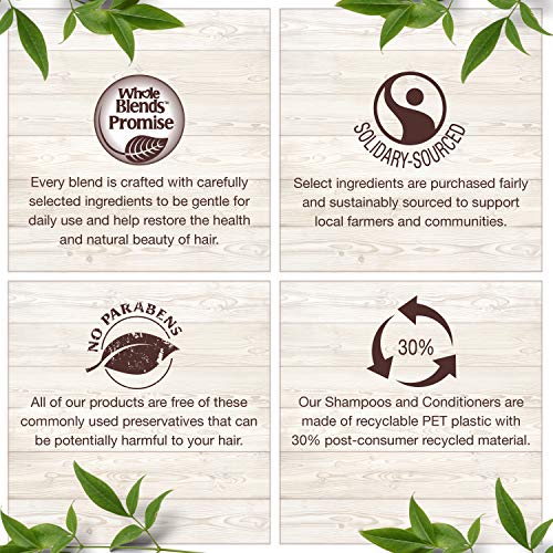 Garnier Whole Blends Repairing Mask Honey Treasures, 10.1 Fl Oz ...