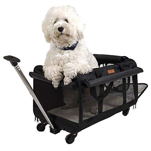 GEARDO Bigger Size Removable Carrier for Pet-Travel 24.8X15.3x1...